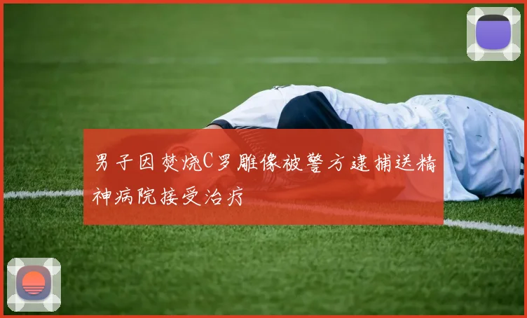 男子因焚烧C罗雕像被警方逮捕送精神病院接受治疗